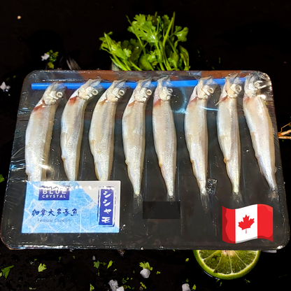 Canadian Female Capelin