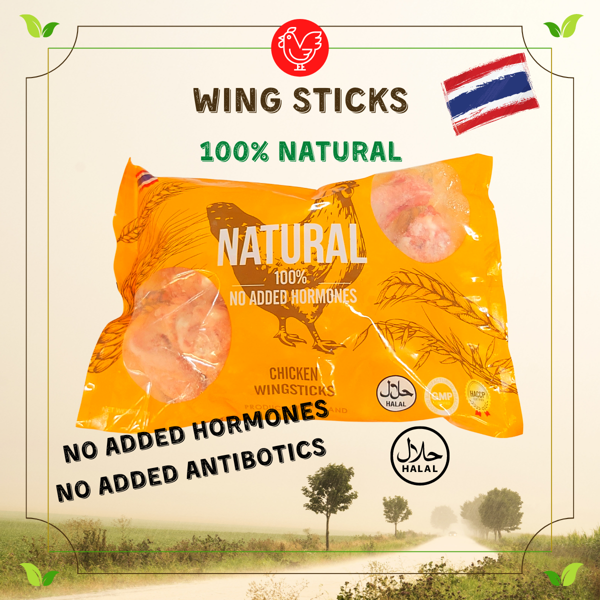 Thai Natural 100% No Added Hormones Chicken Wing Sticks (1kg)