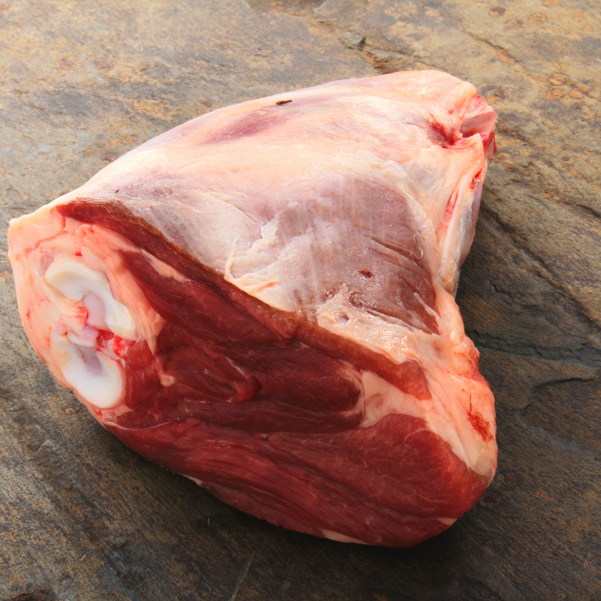 New Zealand Silver Fern Farm Grass Fed Lamb Foreshanks (2-3 pcs)