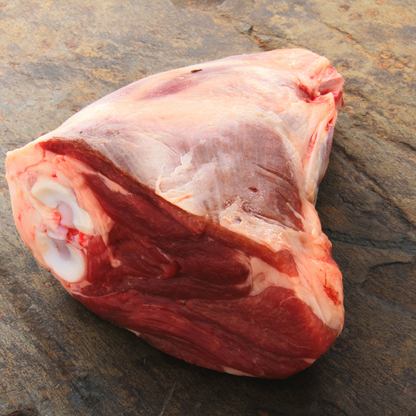 New Zealand Silver Fern Farm Grass Fed Lamb Foreshanks (2-3 pcs)