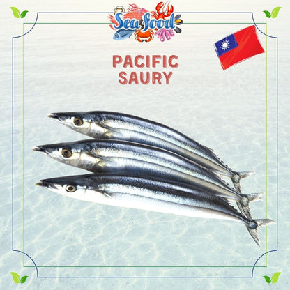 Taiwan Pacific Saury Fish