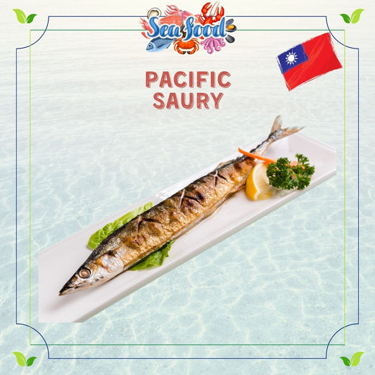 Taiwan Pacific Saury Fish
