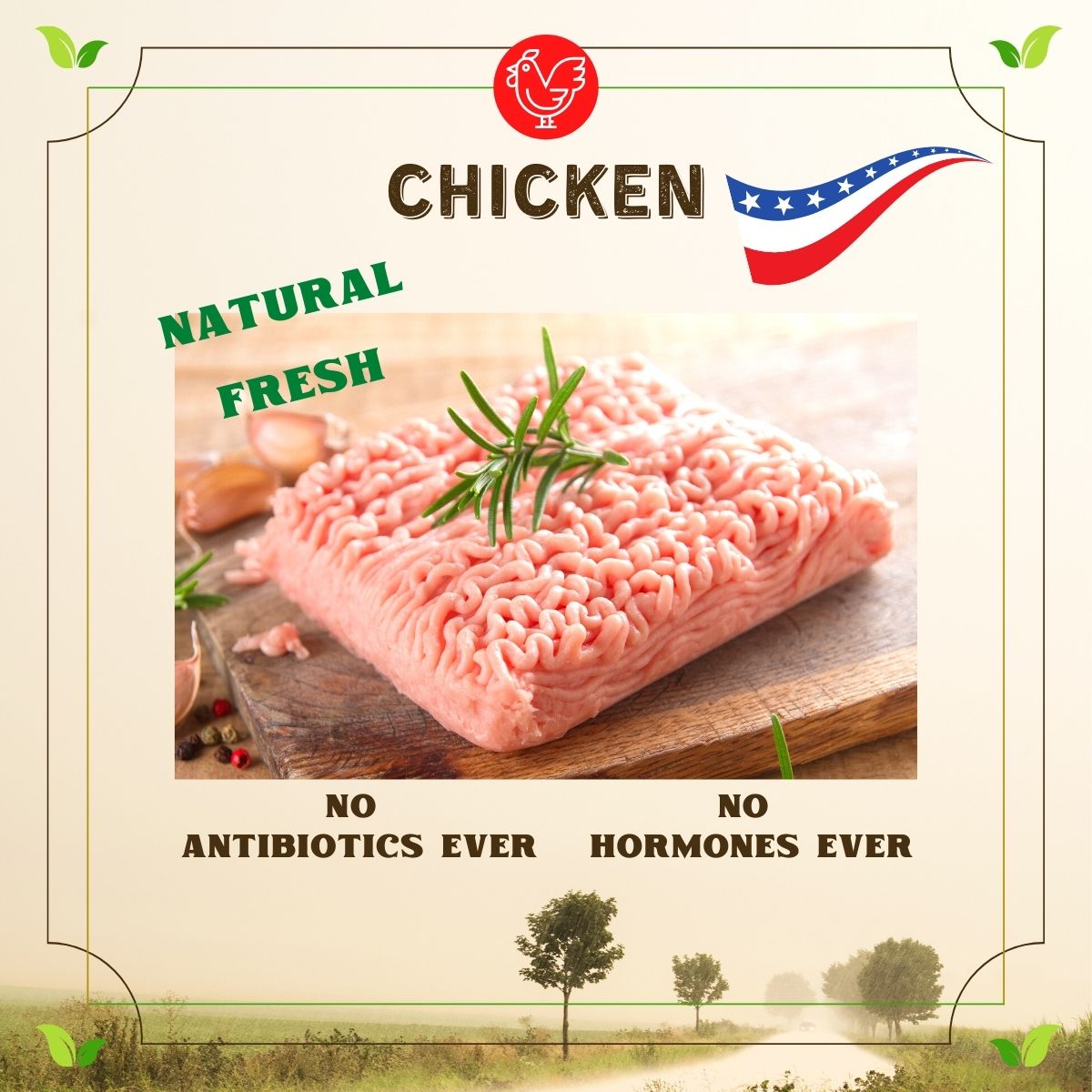 US Ground Chicken Breast (~330g)